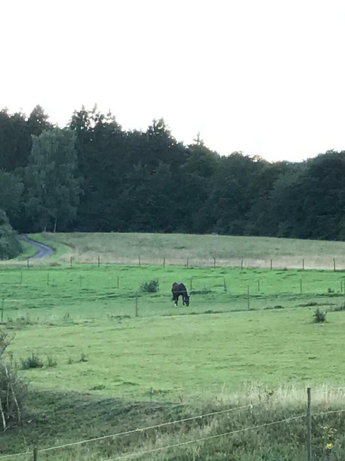 Ferienwohnung Goebel Kelberg Exteriör bild